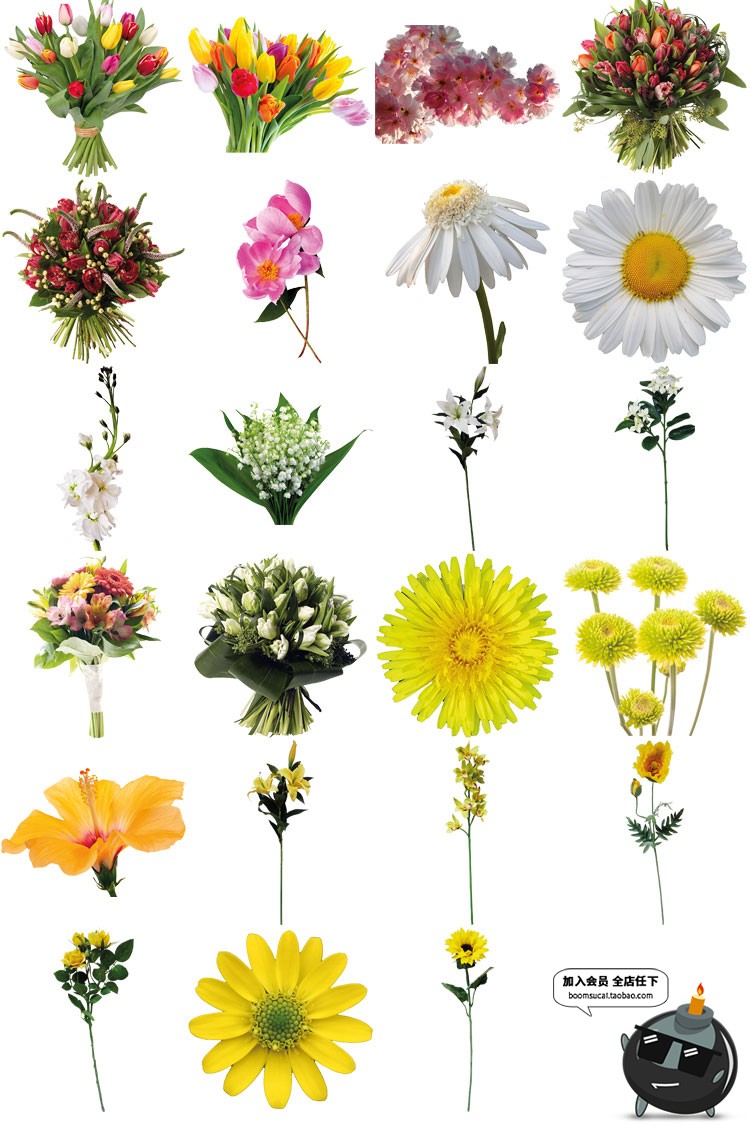 真实鲜花花束花朵装饰影楼后期设计高清图PNG透明免抠图片PS素材-设计猿