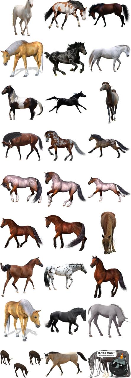 马图片飞马草原马骏马奔跑站立广告宣传海报高清图片PNG免抠素材-设计猿