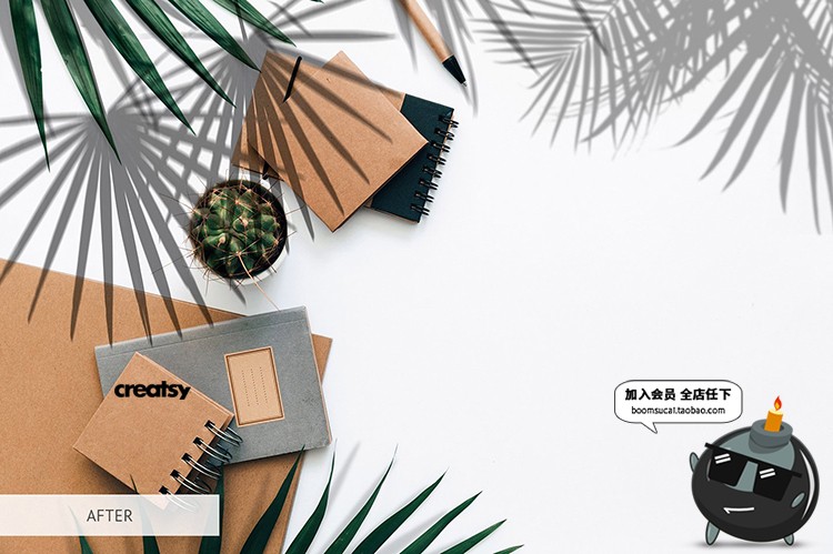 植物窗户阳光阴影光照效果图片照片后期合成叠加PNG免抠PS素材-设计猿