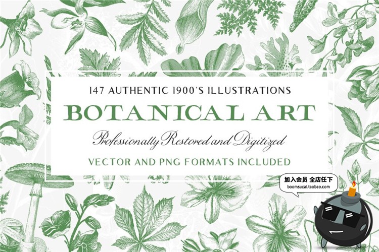 古董古老远古时代蕨类植物蘑菇菌类叶子设计插画素材合集AI矢量图-设计猿