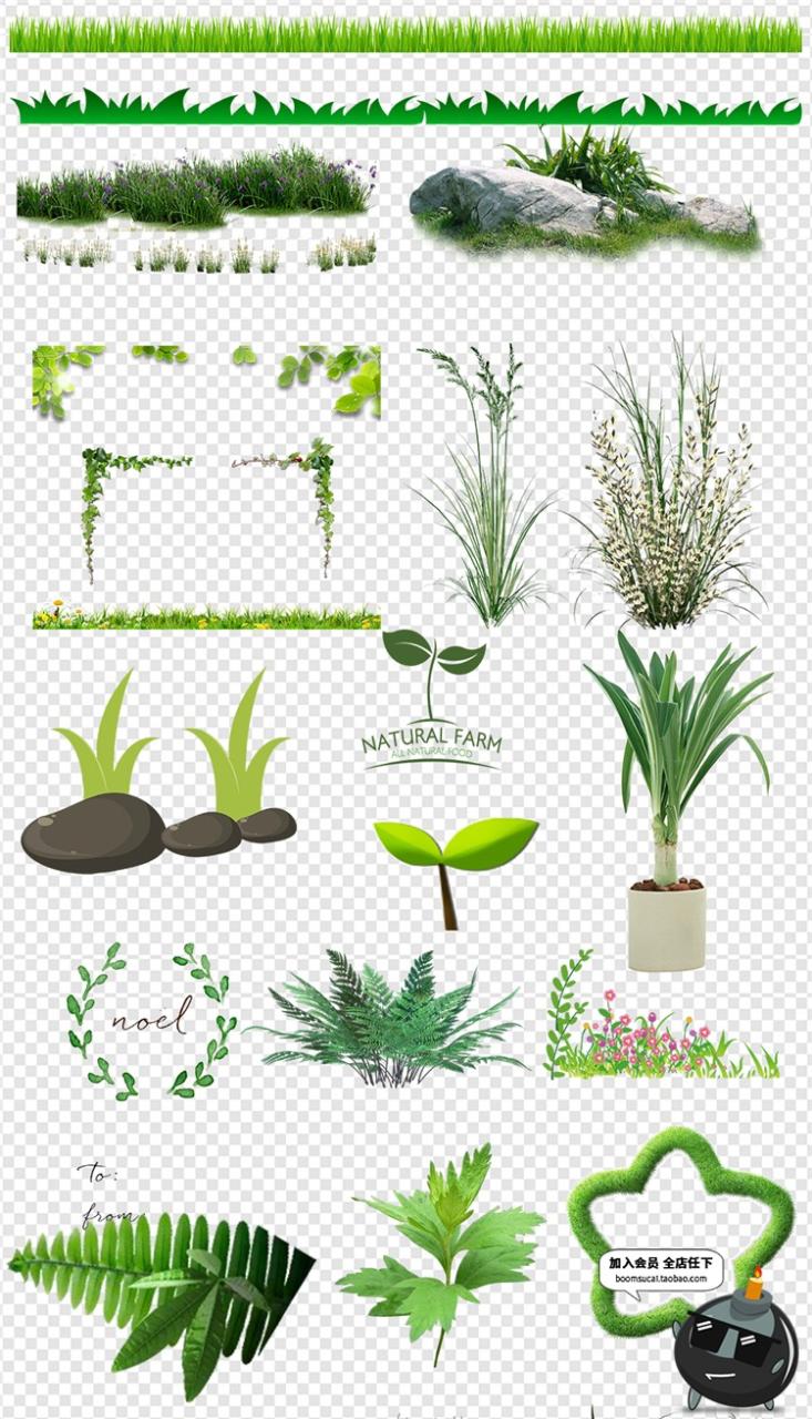 图片[2]-绿色草地小草杂草小花卡通手绘免扣PSD模板图免抠装饰背景PS素材-设计猿