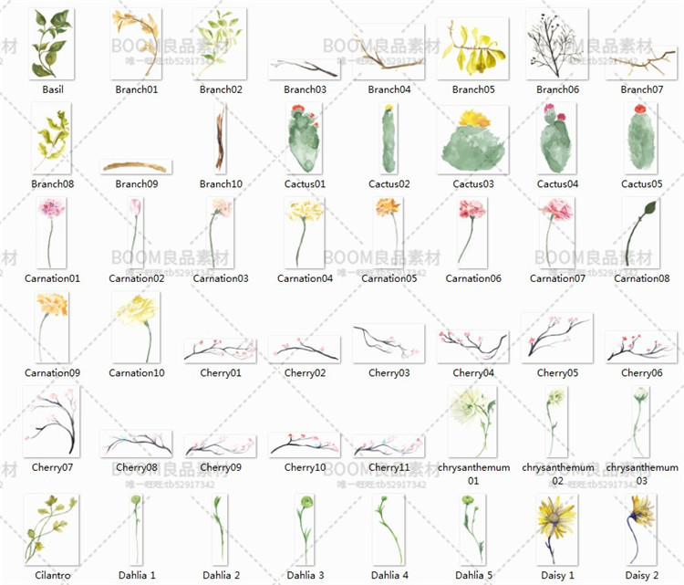 唯美水彩风花朵集合玫瑰百合郁金香请柬贺卡片印刷PNG免扣PS素材-设计猿