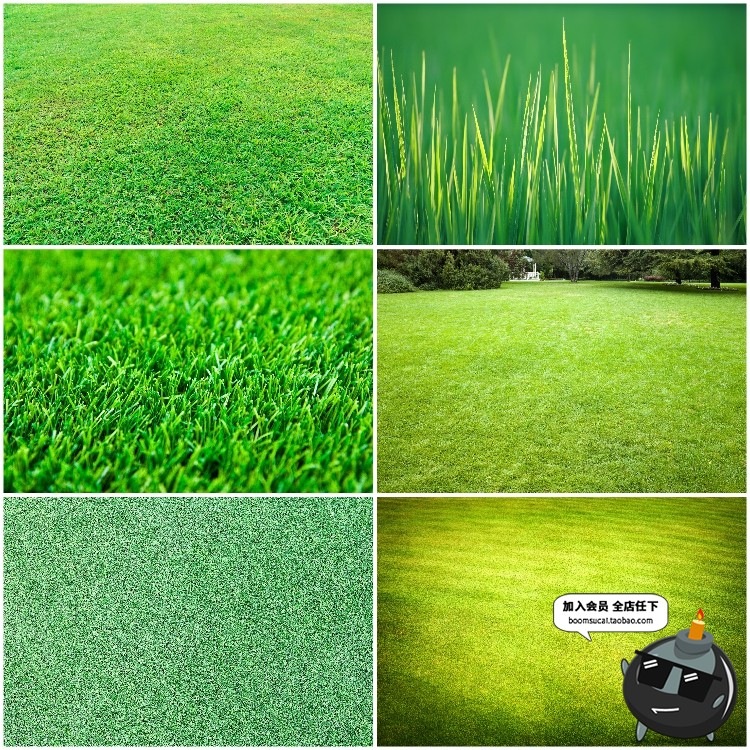 图片[8]-绿茵草坪草地绿地小草绿植物背景纹理JPG高清图片后期合成PS素材-设计猿
