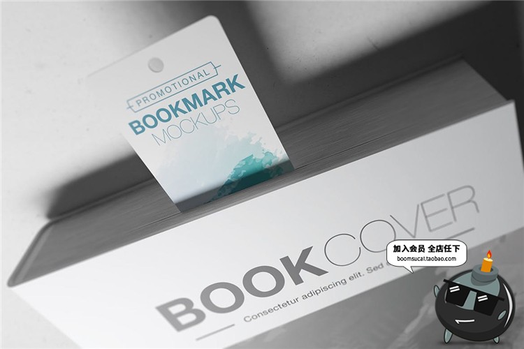 书籍装帧书签卡片吊牌精装包装设计VI文创样机PSD模型mockups素材-设计猿