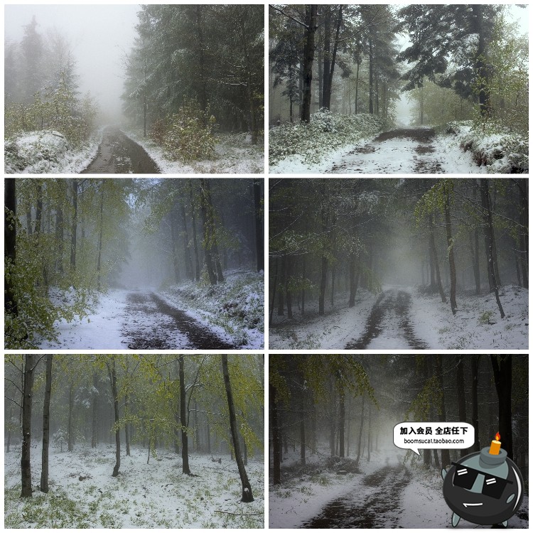 神秘云雾迷雾森林树林阴森恐怖风景高清JPG图片PS后期合成素材-设计猿