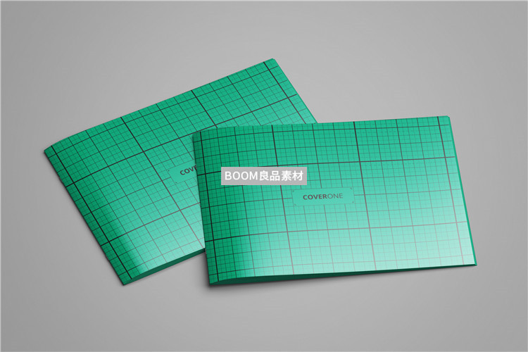 图片[11]-企业公司画册手册本子对折开智能贴图效果展示样机PSD模板PS素材-设计猿