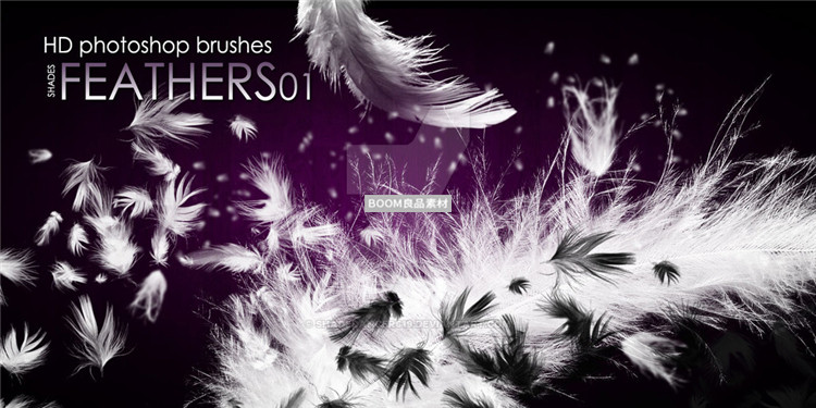 图片[1]-羽毛鸡毛羽绒飘落飘散效果brush笔触设计PS画笔PS笔刷素材合集-设计猿