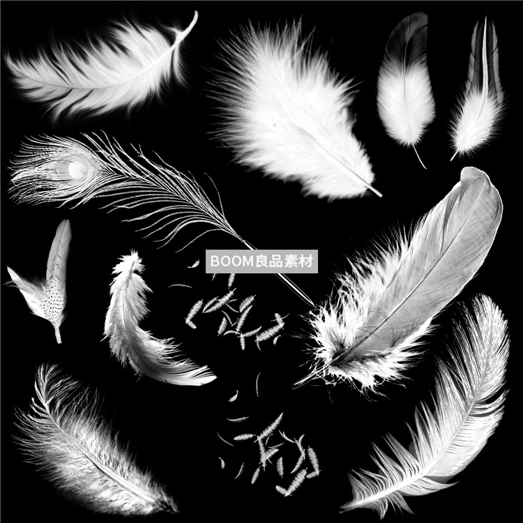 图片[2]-羽毛鸡毛羽绒飘落飘散效果brush笔触设计PS画笔PS笔刷素材合集-设计猿