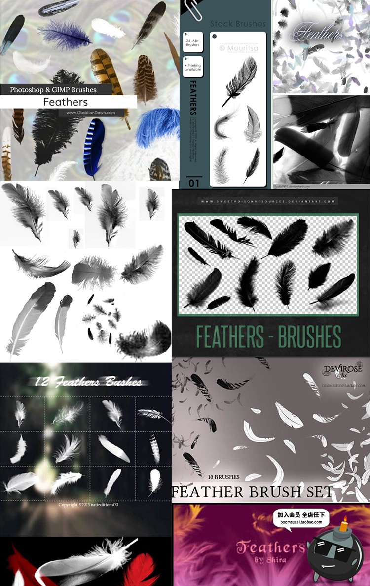 图片[4]-羽毛鸡毛羽绒飘落飘散效果brush笔触设计PS画笔PS笔刷素材合集-设计猿