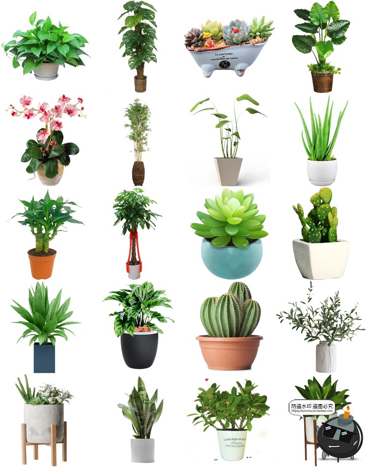 盆栽盆景景观绿植花草植物装饰摆件图片PNG免抠元素PS平面素材-设计猿