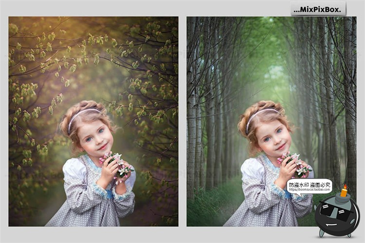 图片[2]-哥特风树林阴森景观花卉叶子背景后期合成修图场景JPG图片素材-设计猿