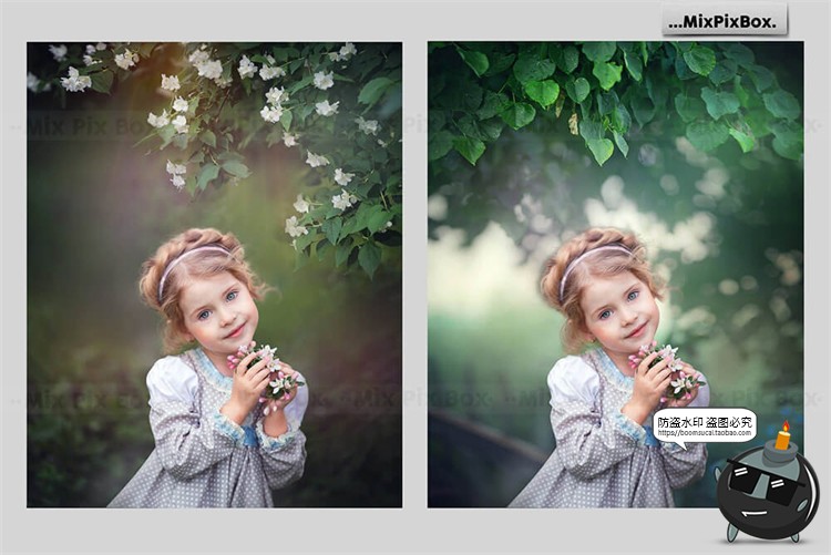 图片[3]-哥特风树林阴森景观花卉叶子背景后期合成修图场景JPG图片素材-设计猿