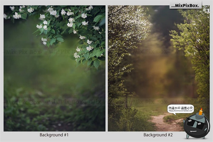 图片[8]-哥特风树林阴森景观花卉叶子背景后期合成修图场景JPG图片素材-设计猿