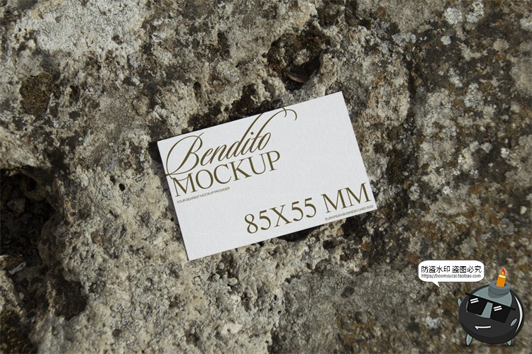 图片[13]-小众日光质感文创VI海报名片传单户外广告手PSD模板样机PS素材-设计猿