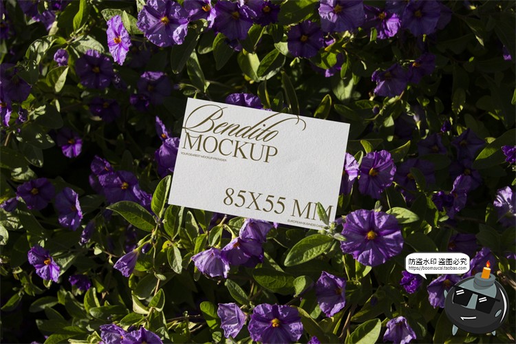 图片[19]-小众日光质感文创VI海报名片传单户外广告手PSD模板样机PS素材-设计猿