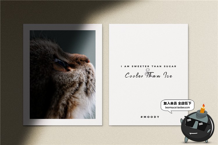 图片[10]-文艺光影阴影品牌企业办公文具纸张海报vi贴图样机PSD模板PS素材-设计猿