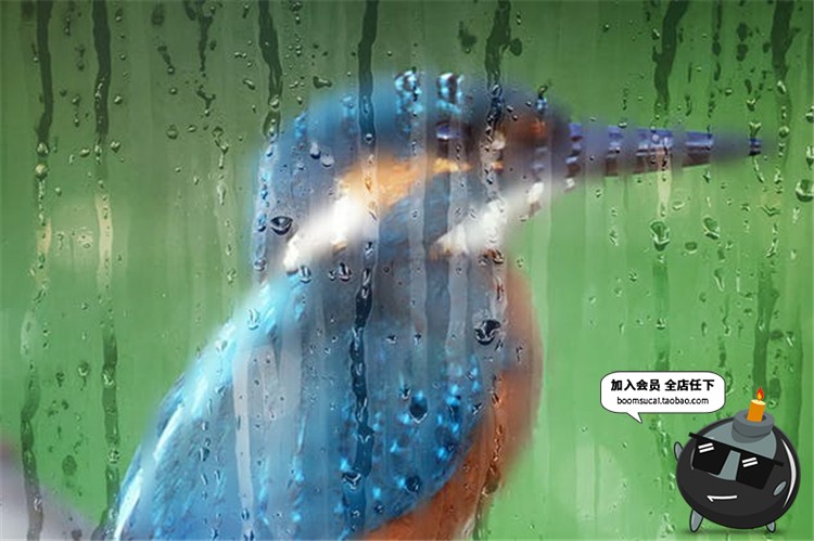 图片[17]-玻璃水滴水珠流淌窗户下雨雾气雾化样式合成PS笔刷PSD模板PS素材-设计猿