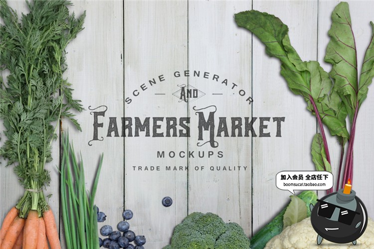 图片[1]-蔬菜青菜水果平铺高清场景图片包装VI设计展示模型样机PSD素材图-设计猿