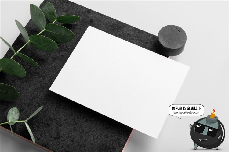 图片[8]-品牌形象商务办公用品VI设计样机展示模型mockups智能贴图PS素材-设计猿