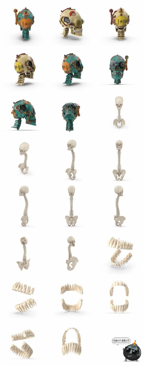 人体盆骨架骷髅枯骨骸头骨肋骨脊椎参考后期合成PSD模板PS素材-设计猿