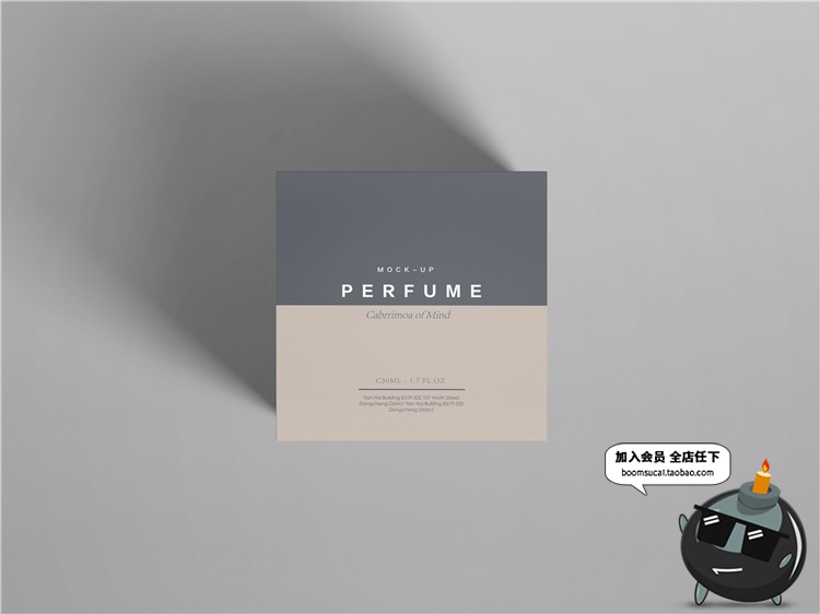 图片[12]-奢侈品珠宝首饰品牌包装纸盒子VI提案智能贴图样机PSD模板PS素材-设计猿