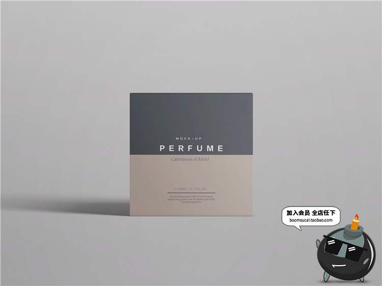 图片[13]-奢侈品珠宝首饰品牌包装纸盒子VI提案智能贴图样机PSD模板PS素材-设计猿