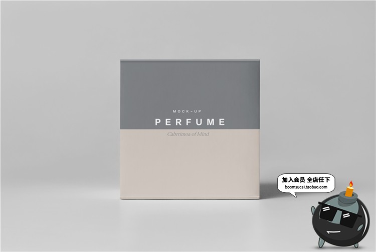 图片[15]-奢侈品珠宝首饰品牌包装纸盒子VI提案智能贴图样机PSD模板PS素材-设计猿