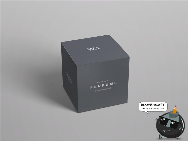 图片[16]-奢侈品珠宝首饰品牌包装纸盒子VI提案智能贴图样机PSD模板PS素材-设计猿