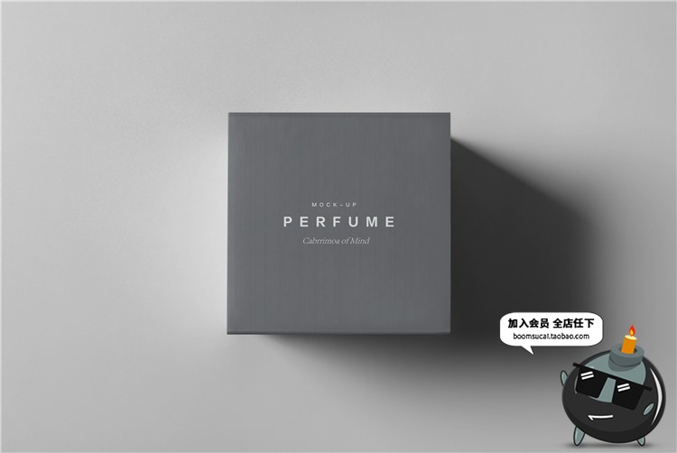 图片[20]-奢侈品珠宝首饰品牌包装纸盒子VI提案智能贴图样机PSD模板PS素材-设计猿