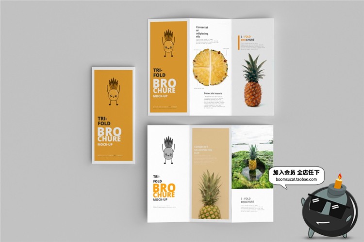 图片[1]-竖版三折页企业宣传单画册菜单手册vi智能贴图样机PSD模板PS素材-设计猿