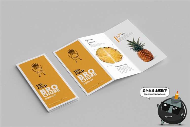 图片[2]-竖版三折页企业宣传单画册菜单手册vi智能贴图样机PSD模板PS素材-设计猿