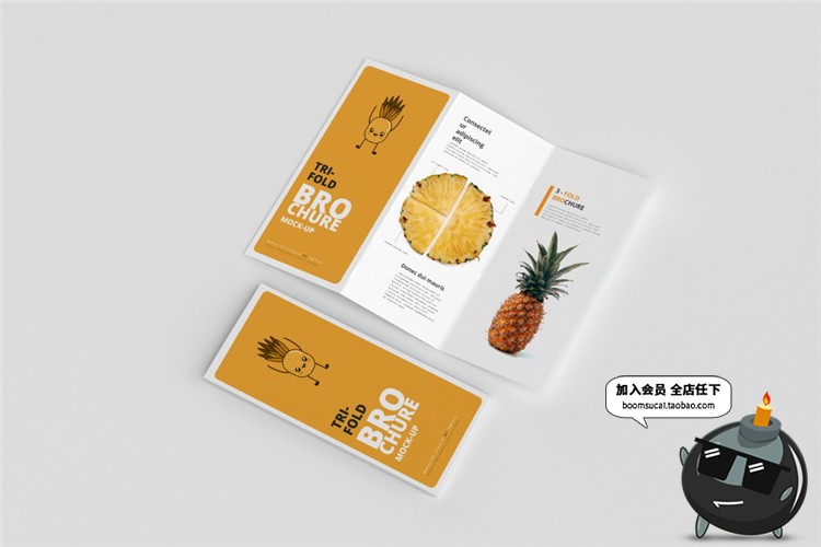 图片[4]-竖版三折页企业宣传单画册菜单手册vi智能贴图样机PSD模板PS素材-设计猿