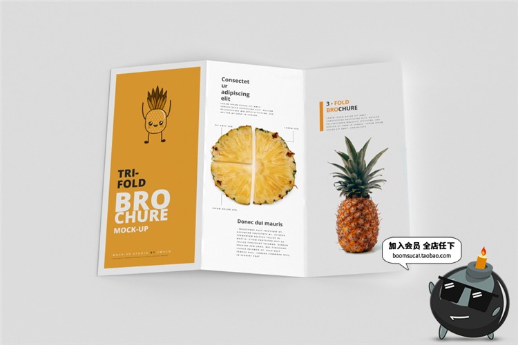 图片[5]-竖版三折页企业宣传单画册菜单手册vi智能贴图样机PSD模板PS素材-设计猿