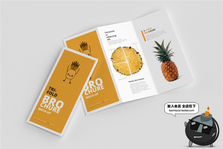 图片[7]-竖版三折页企业宣传单画册菜单手册vi智能贴图样机PSD模板PS素材-设计猿