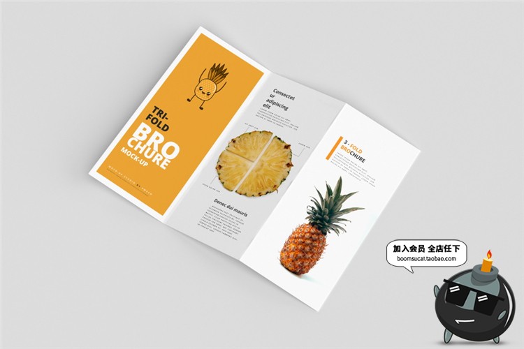 图片[8]-竖版三折页企业宣传单画册菜单手册vi智能贴图样机PSD模板PS素材-设计猿