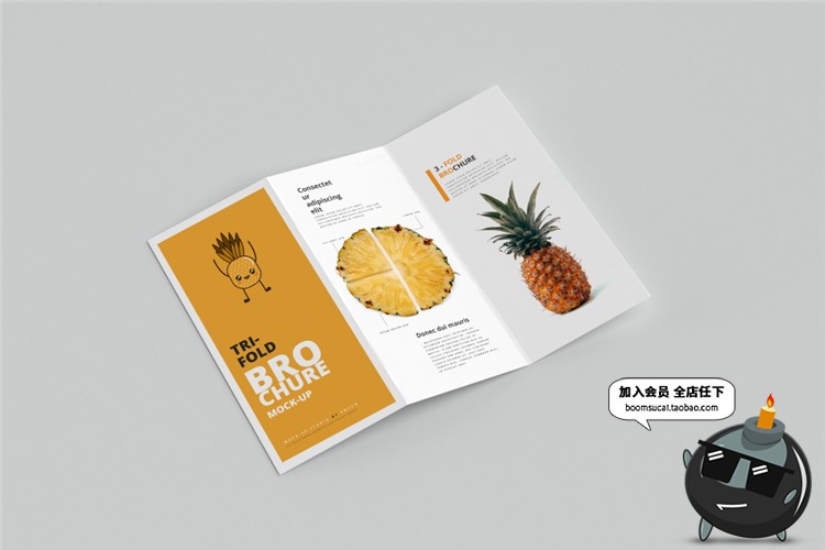 图片[9]-竖版三折页企业宣传单画册菜单手册vi智能贴图样机PSD模板PS素材-设计猿