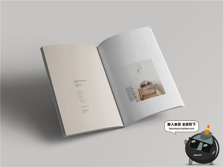 图片[2]-简约杂志品牌手册画册设计书籍文创装帧VI样机展示PSD模板PS素材-设计猿