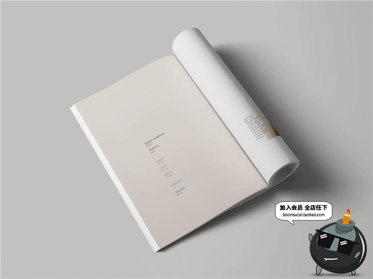 图片[3]-简约杂志品牌手册画册设计书籍文创装帧VI样机展示PSD模板PS素材-设计猿