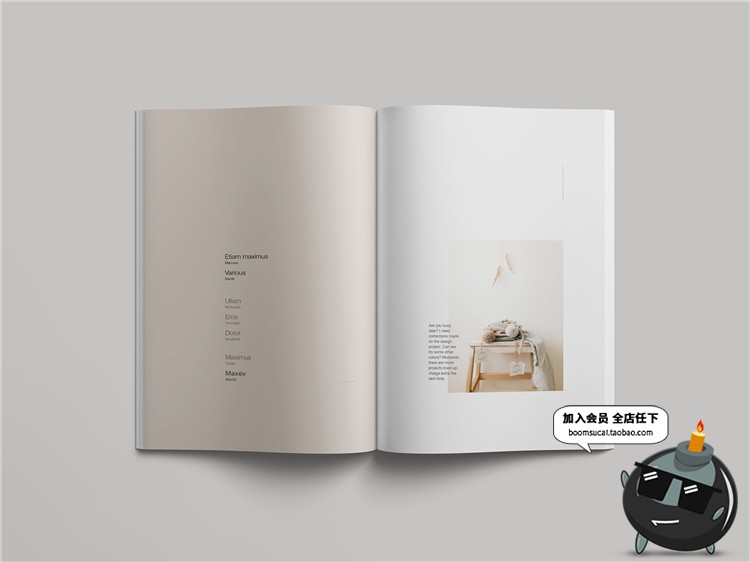 图片[6]-简约杂志品牌手册画册设计书籍文创装帧VI样机展示PSD模板PS素材-设计猿