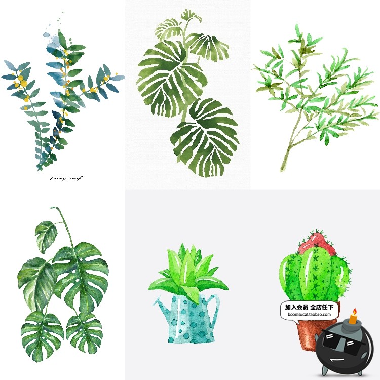 简约水彩手绘小清新绿色植物仙人掌插画高清装饰画芯JPG图片素材-设计猿