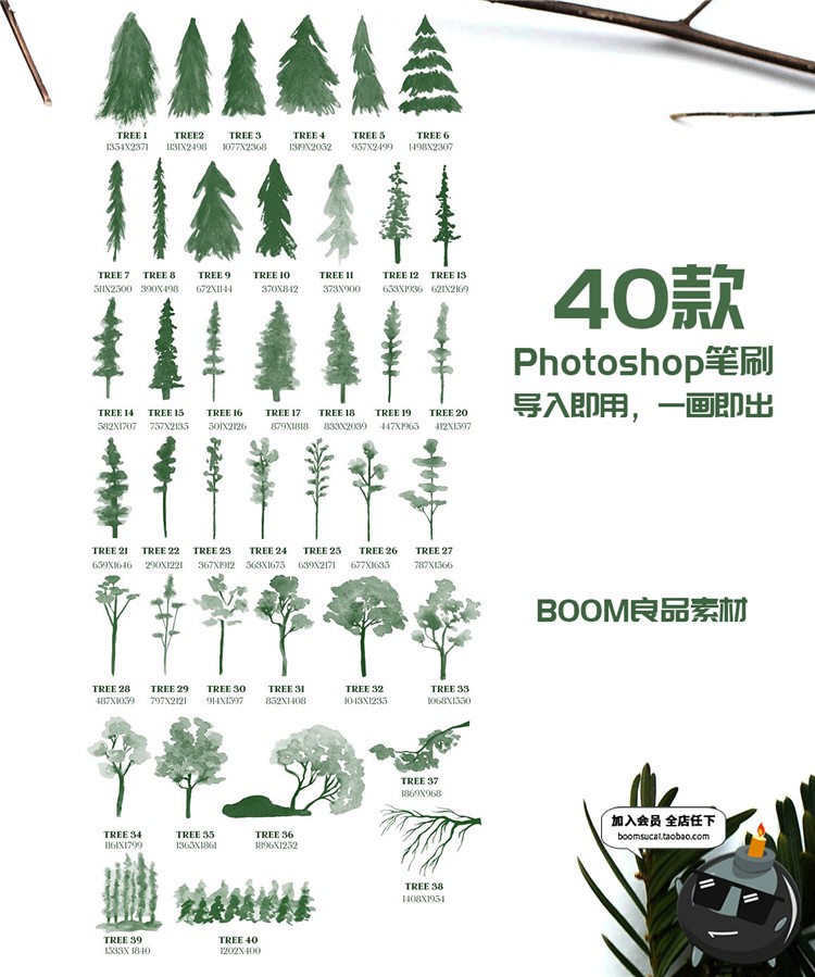 图片[1]-水彩立面树木松树笔刷剪影元素装饰插画图片设计ABR笔触设计素材-设计猿