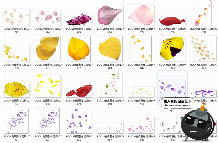 图片[1]-玫瑰花瓣飞舞真实飘落飘洒散落效果叶子婚纱照PSD后期PNG免抠素材-设计猿