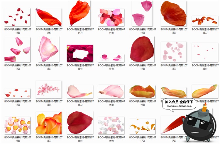 图片[2]-玫瑰花瓣飞舞真实飘落飘洒散落效果叶子婚纱照PSD后期PNG免抠素材-设计猿