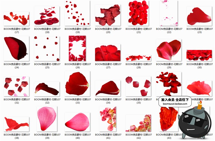 图片[3]-玫瑰花瓣飞舞真实飘落飘洒散落效果叶子婚纱照PSD后期PNG免抠素材-设计猿