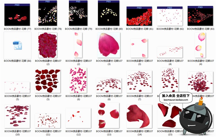 图片[4]-玫瑰花瓣飞舞真实飘落飘洒散落效果叶子婚纱照PSD后期PNG免抠素材-设计猿