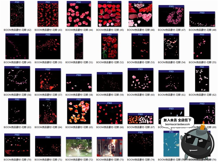 图片[5]-玫瑰花瓣飞舞真实飘落飘洒散落效果叶子婚纱照PSD后期PNG免抠素材-设计猿