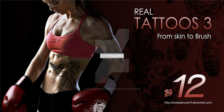 图片[1]-酷炫纹身装饰纹饰鸟类图案画笔笔触设计brush元素PS笔刷素材-设计猿