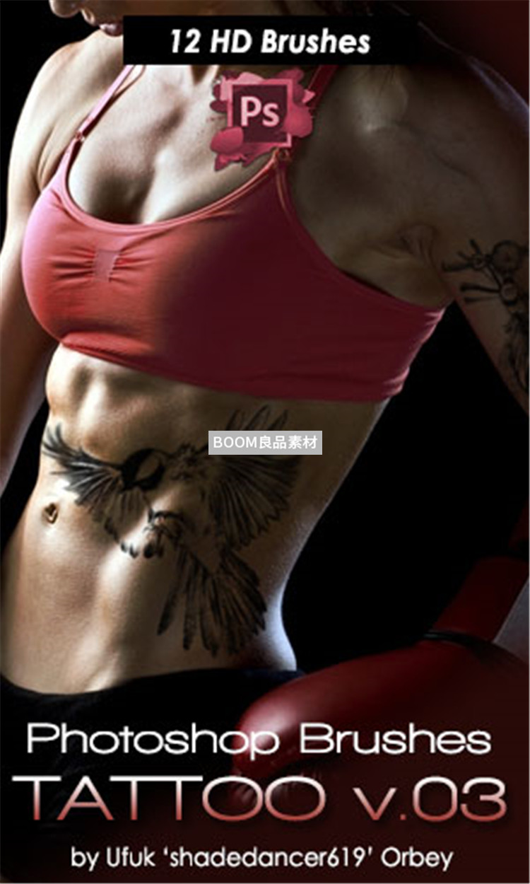 图片[2]-酷炫纹身装饰纹饰鸟类图案画笔笔触设计brush元素PS笔刷素材-设计猿