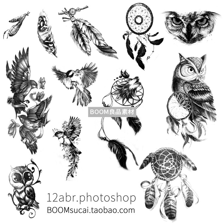 图片[3]-酷炫纹身装饰纹饰鸟类图案画笔笔触设计brush元素PS笔刷素材-设计猿