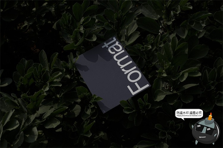 图片[8]-户外场景文创品牌VI应用包装名片T恤效果图展示样机PSD模板PS素材-设计猿